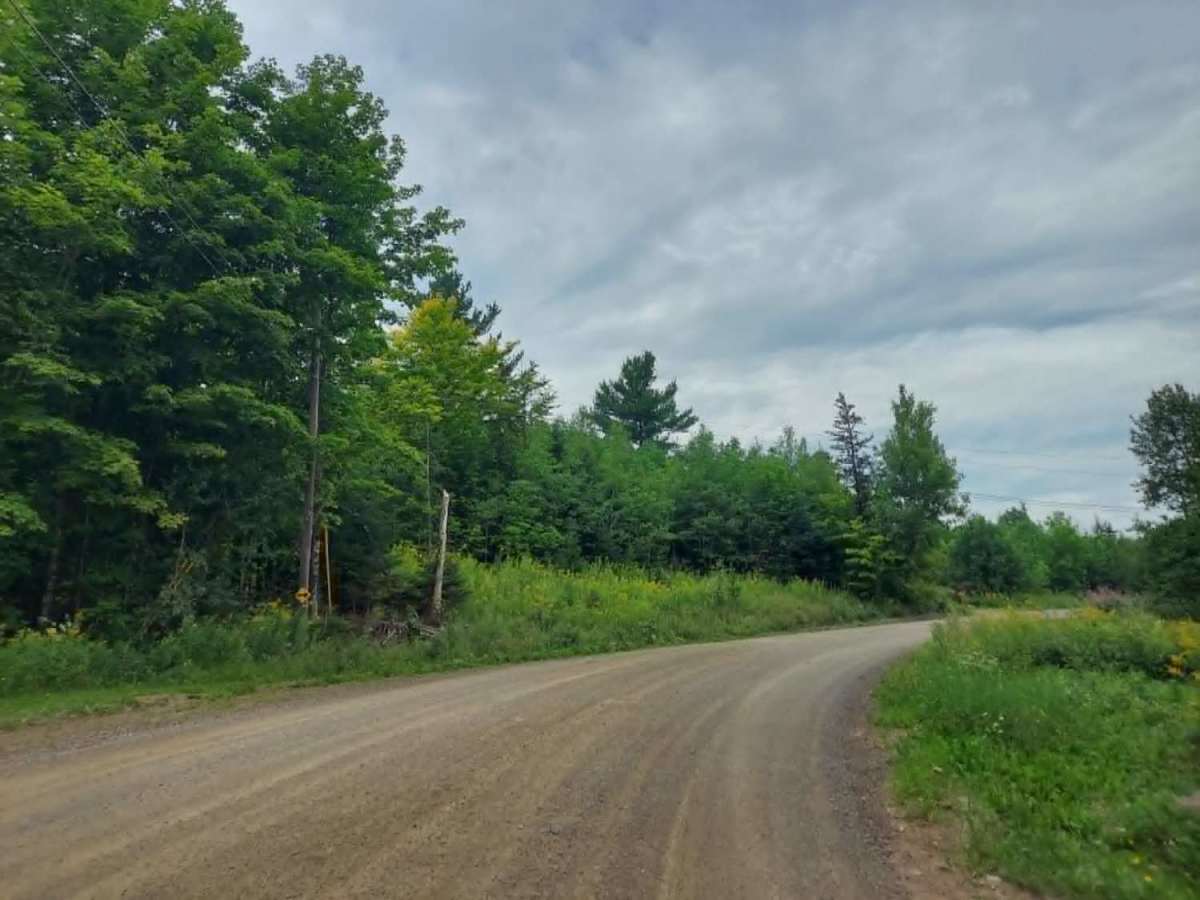 Hoyt Road trail photo