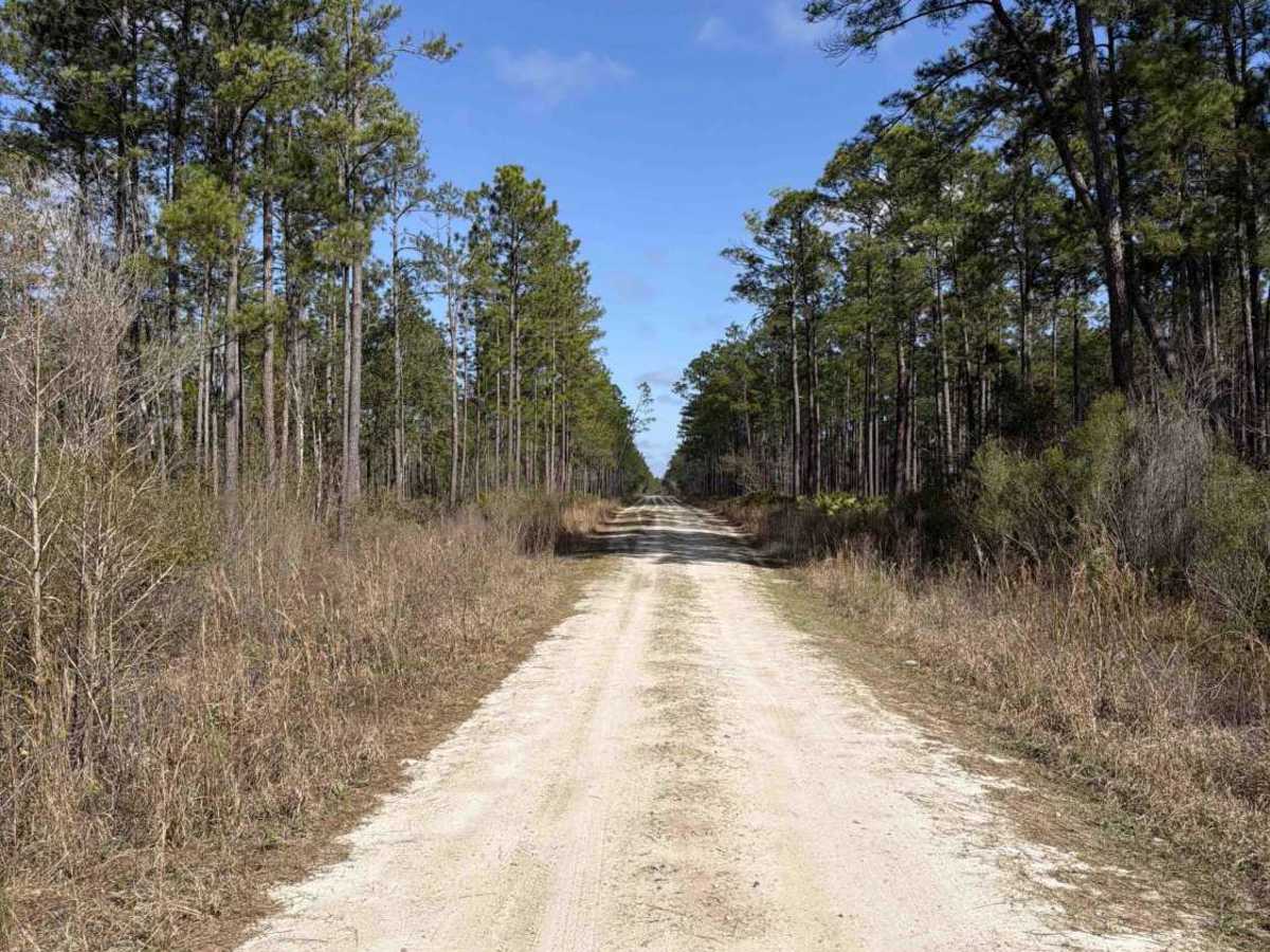 Hutto - FS 376 photo 5