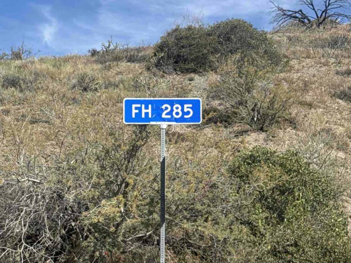 FS 285 trail photo