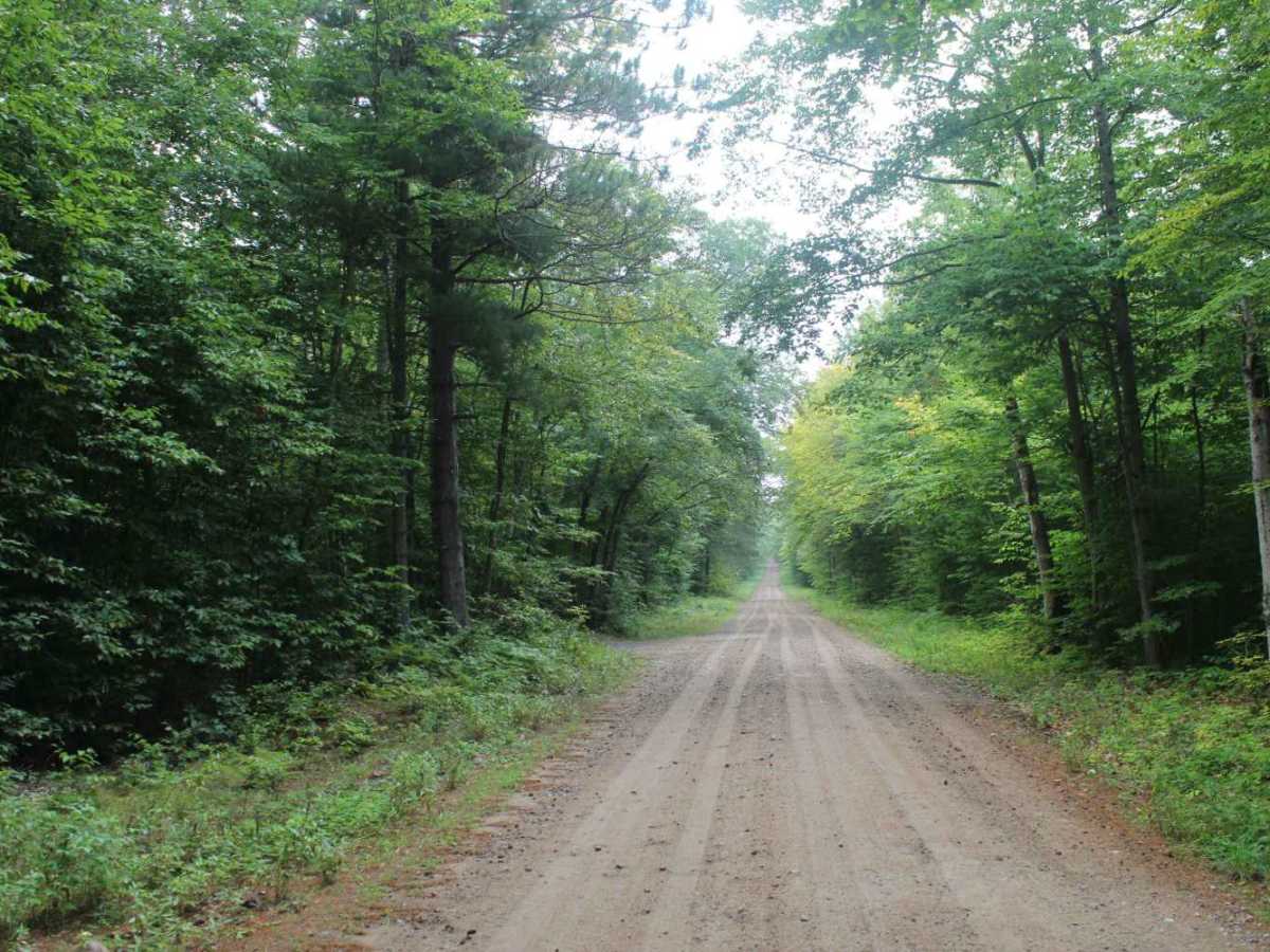 Otter Creek Trail photo 6