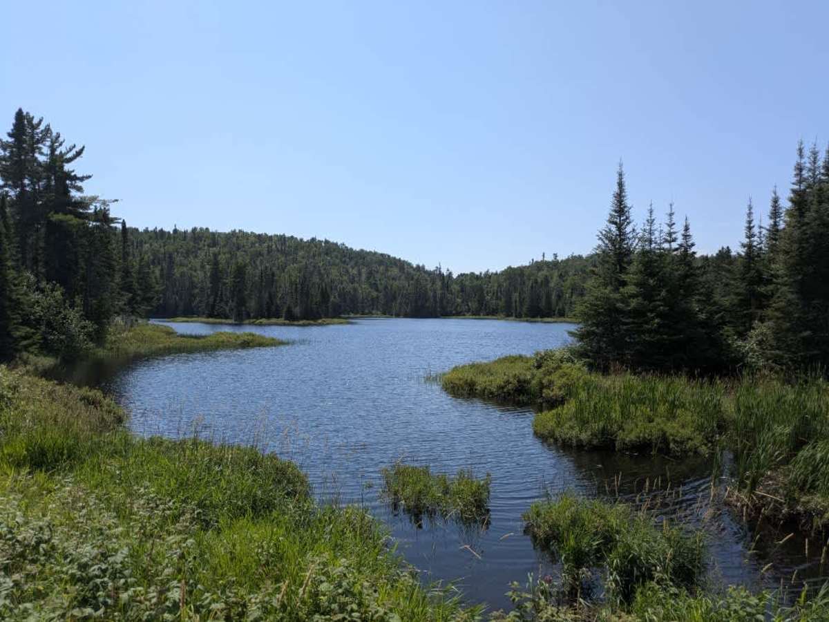 Shoe Lake Road photo 5