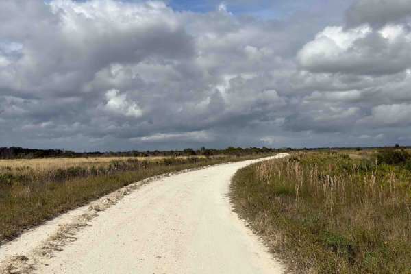 Road 10 - Three Lakes WMA