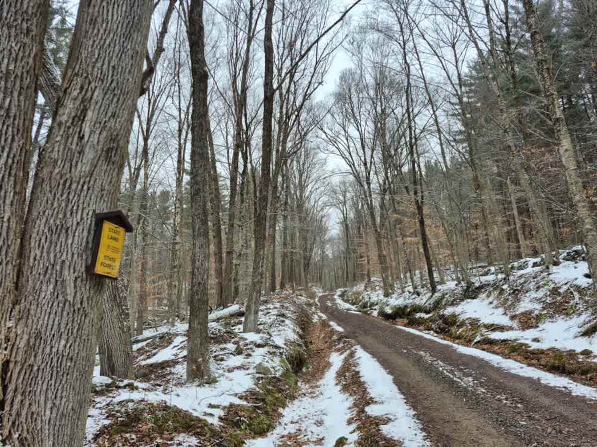 Fall Brook State Forest PFAR trail photo