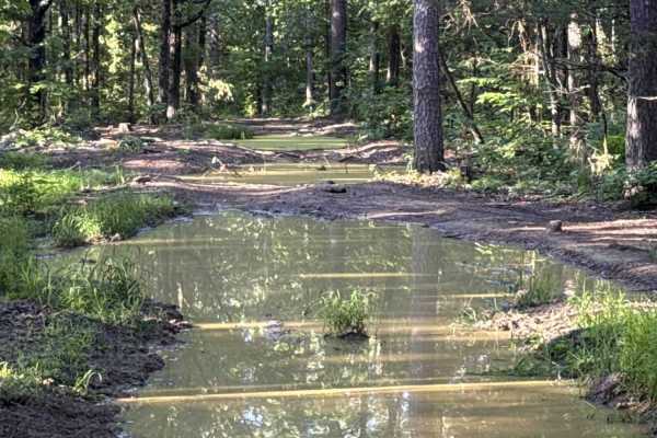 Crawley Ridge