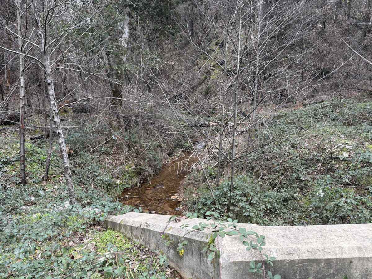 Rock Creek photo 6