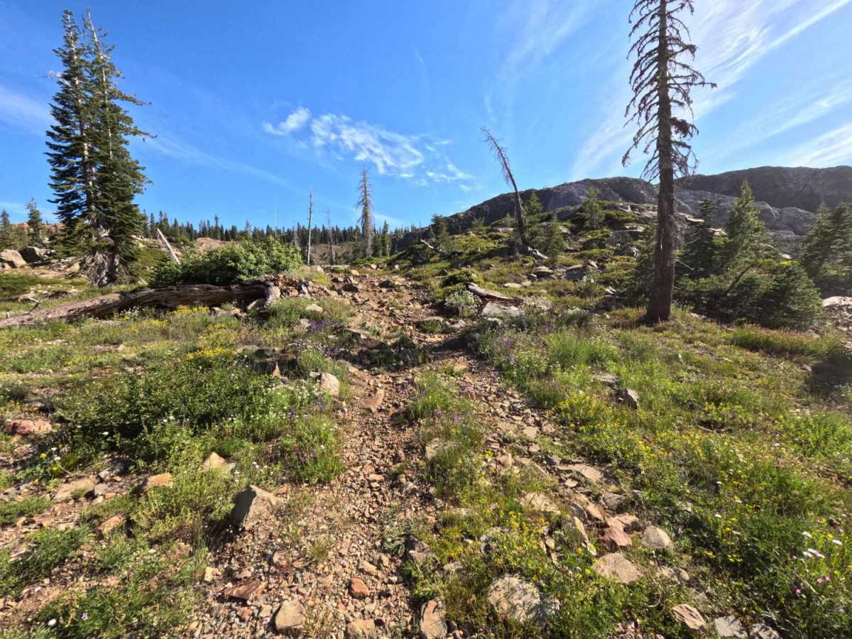 Spencer Lakes OHV - FS 11M01 photo 3