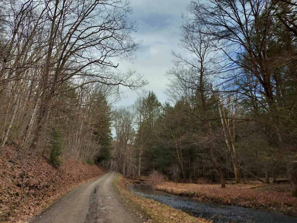 West Hicks Run Road photo 2