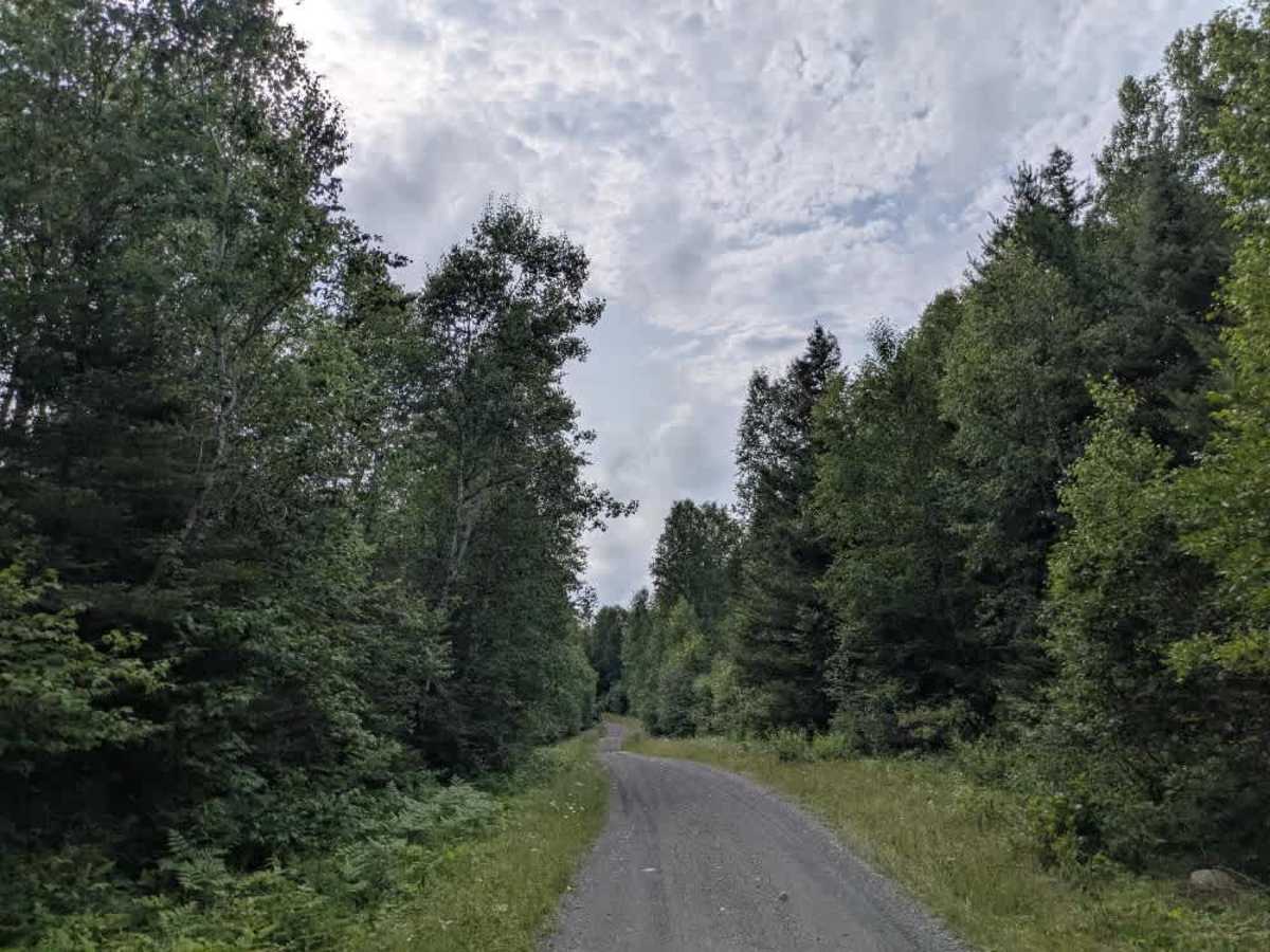 Powers Lake trail photo