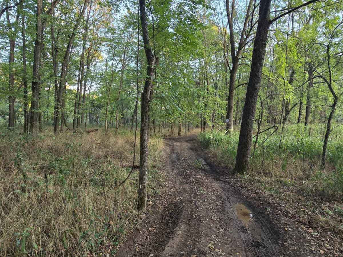 Paw Paw Path trail photo