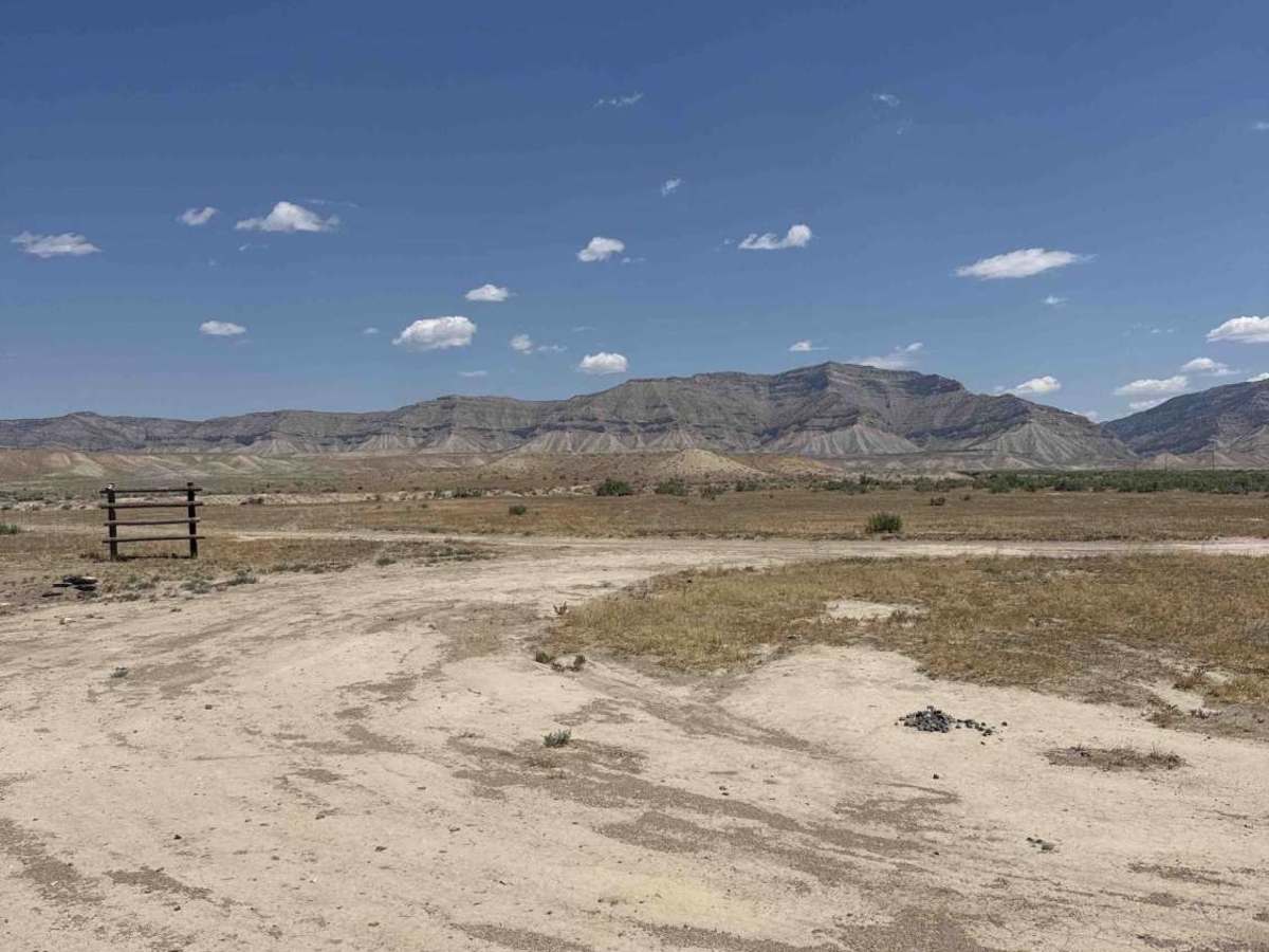 BLM 198 photo 5