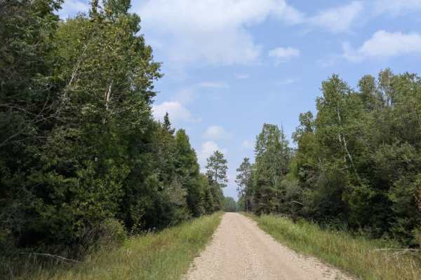 Haney Road