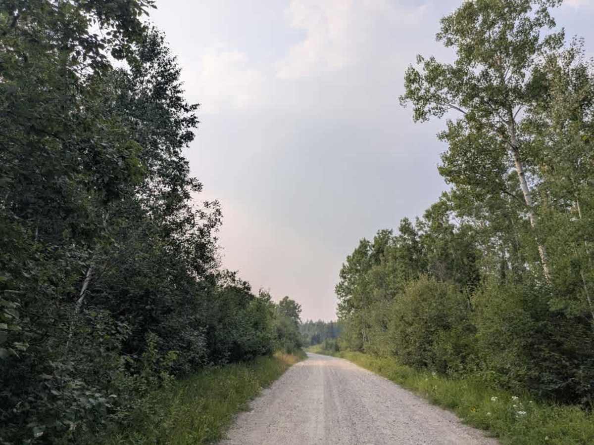 FS 1036 trail photo