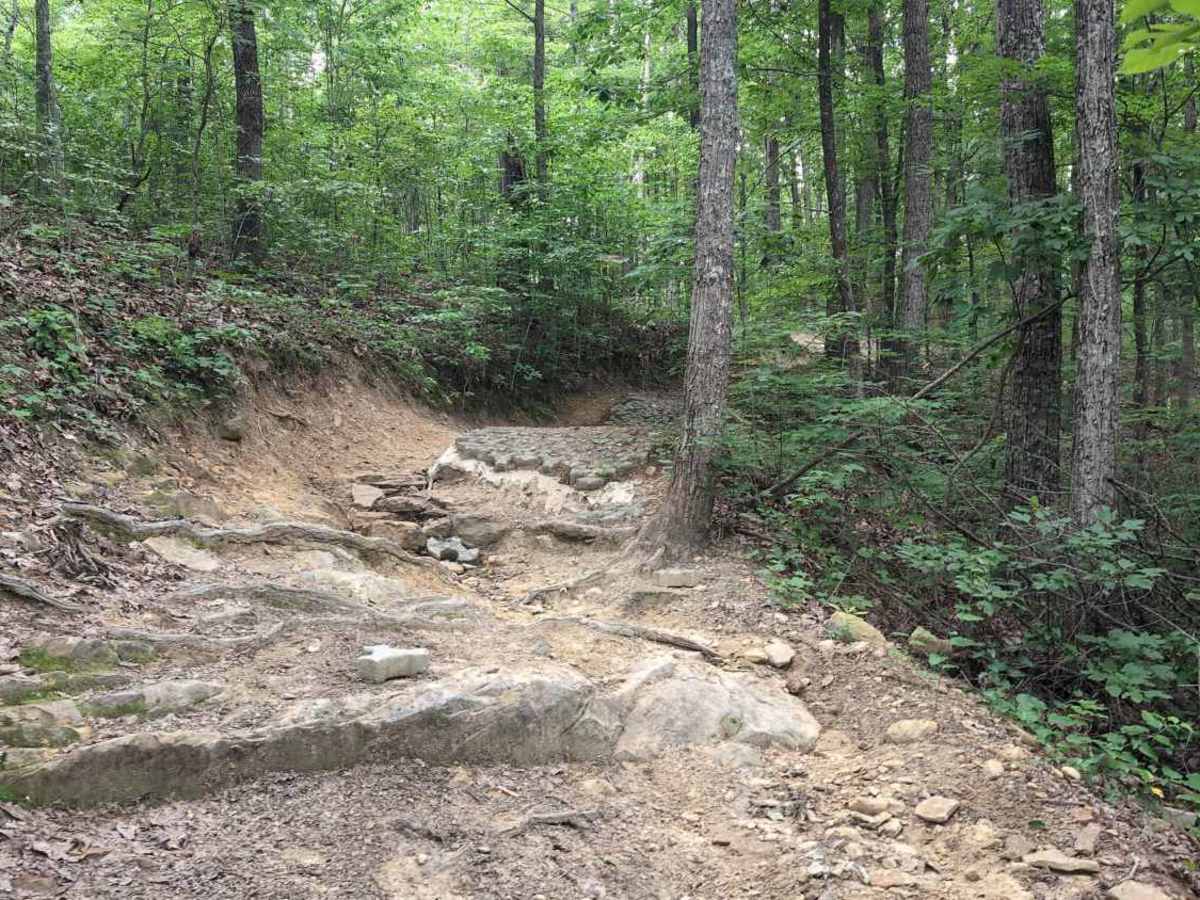 Renfro Loop photo 2