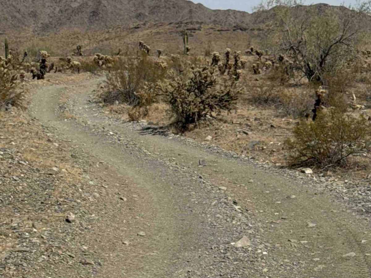 Desert Crossroads photo 5
