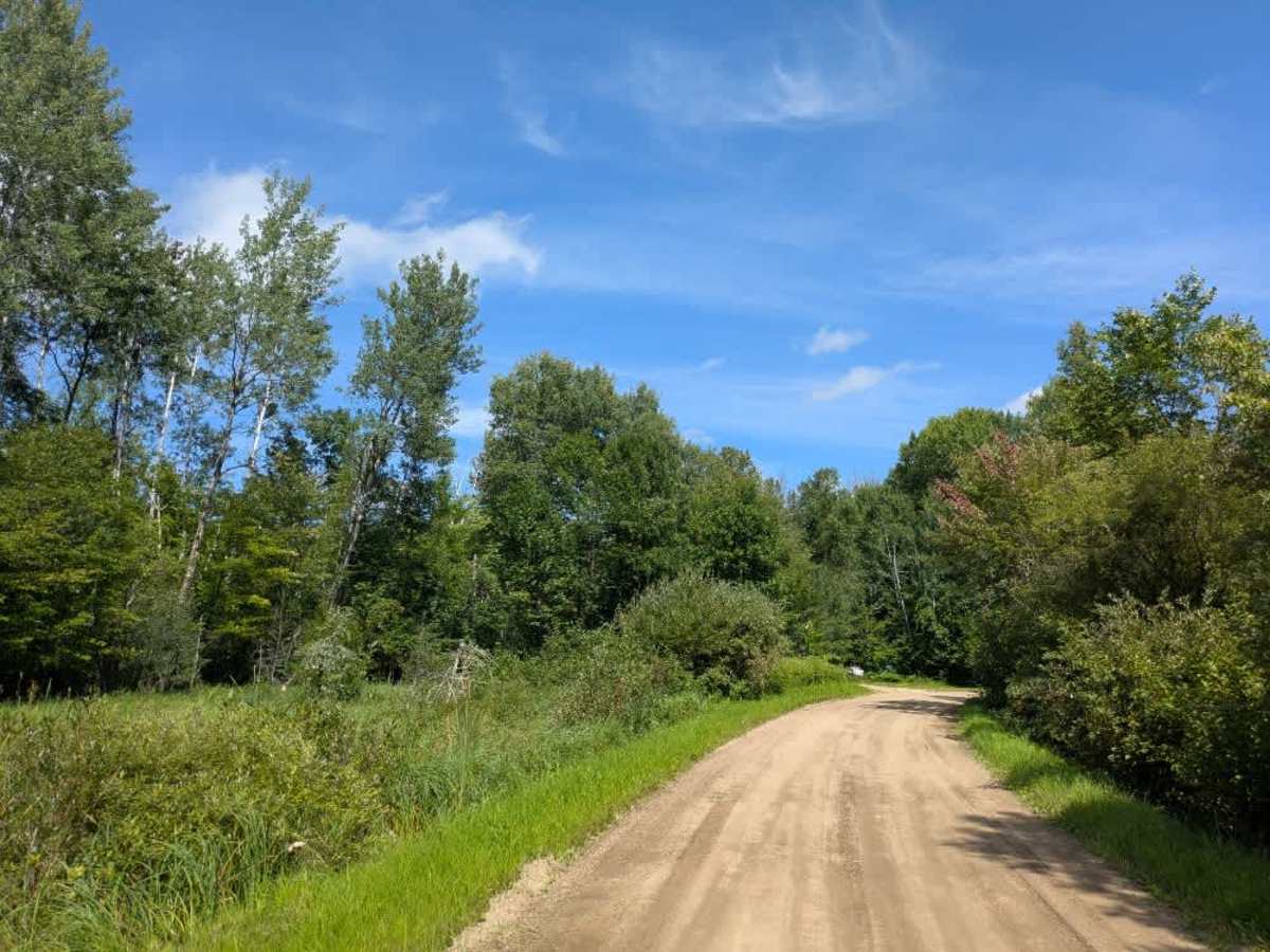Forest Road 3448 photo 2