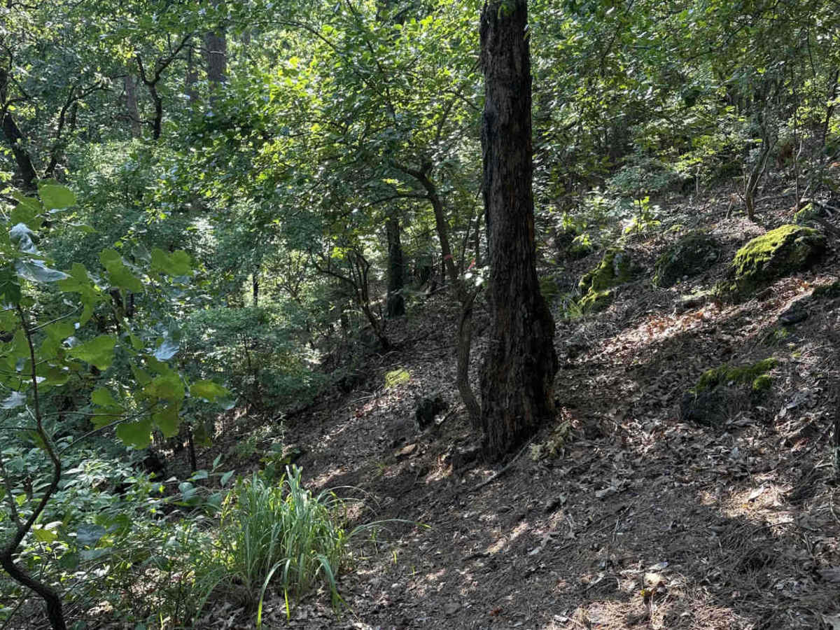 The Drop photo 3