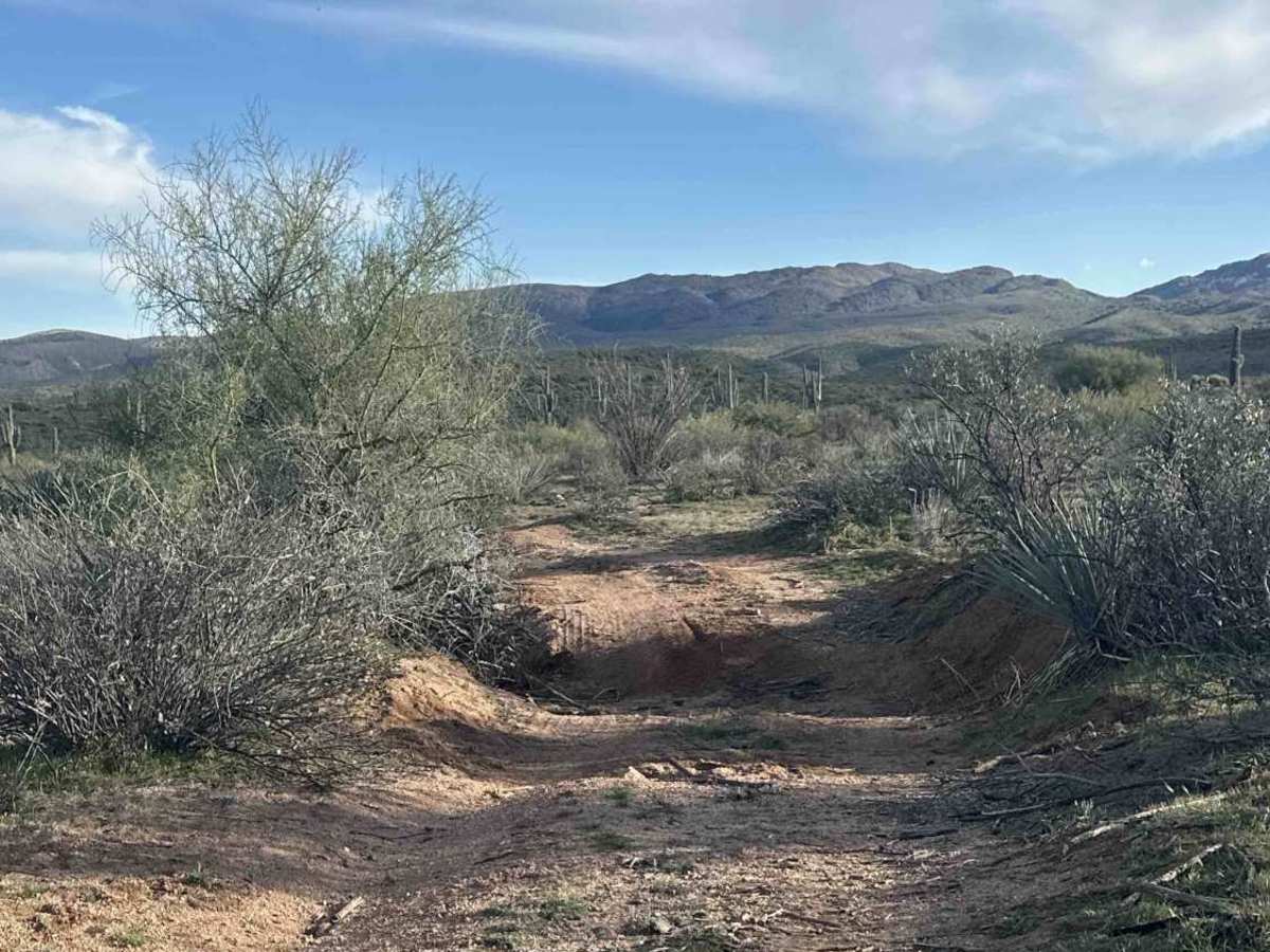FS 1738 trail photo