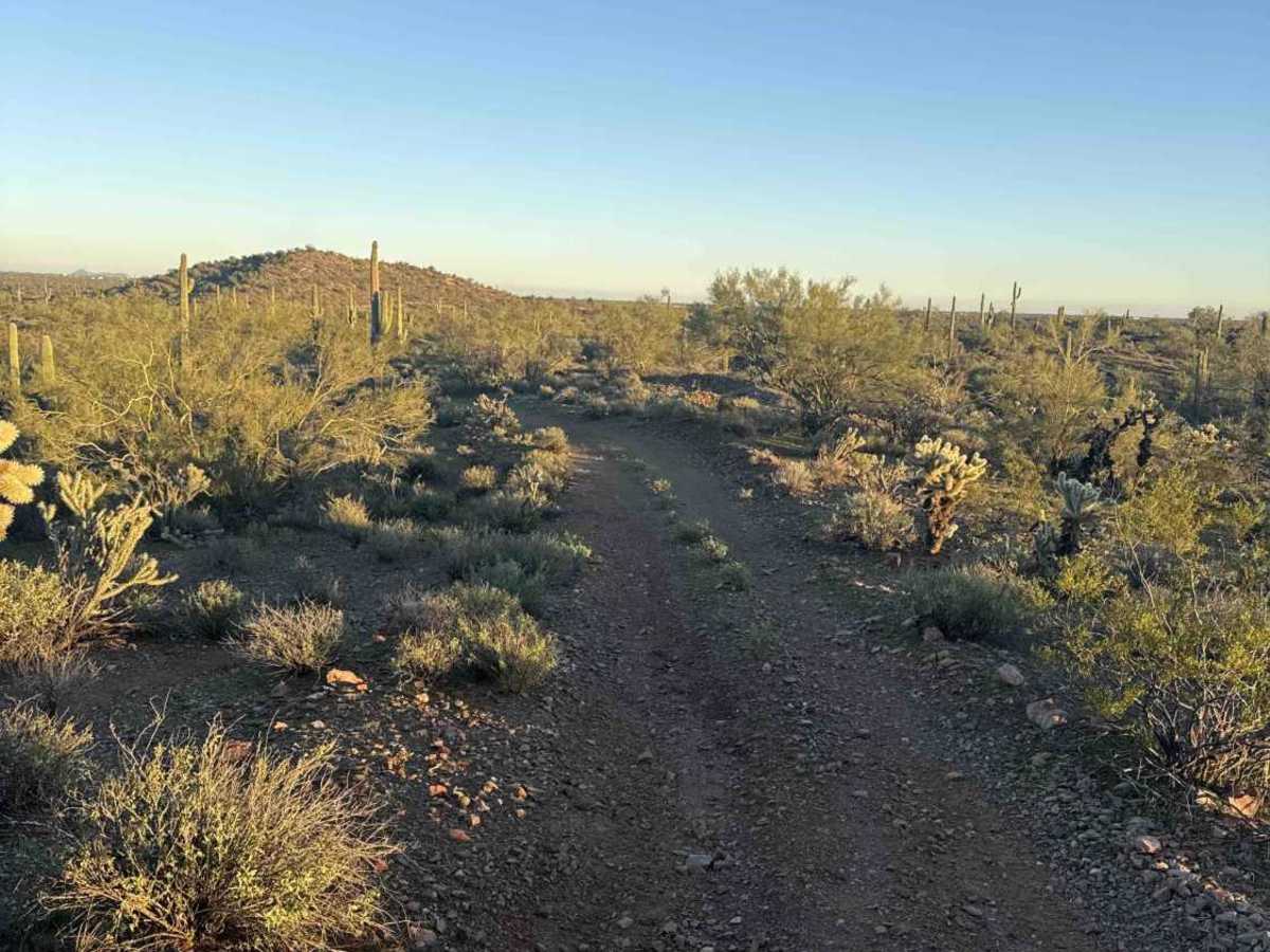 38116A trail photo