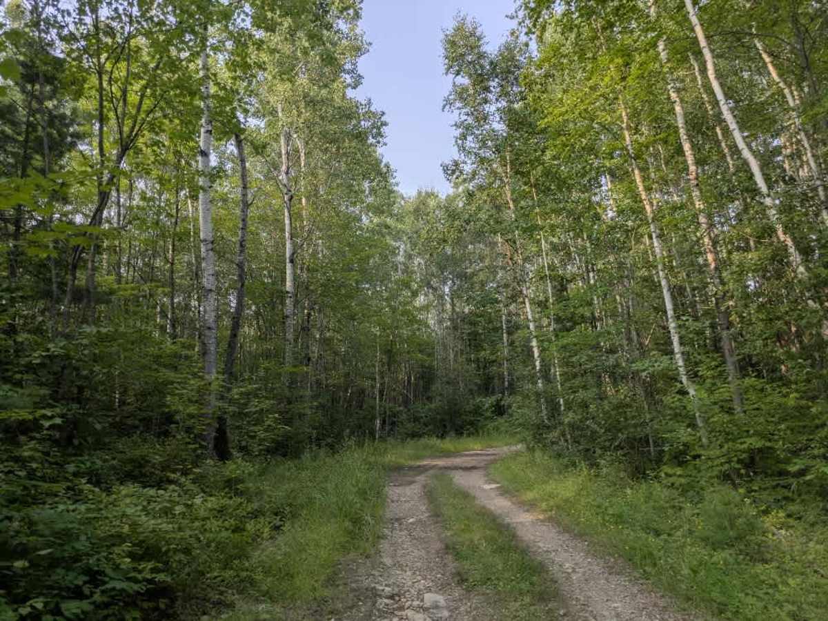 FS 451A trail photo