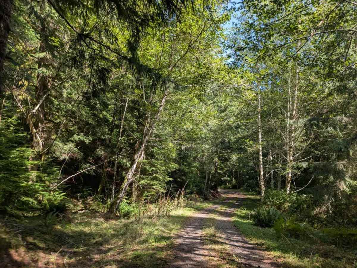 1440 trail photo