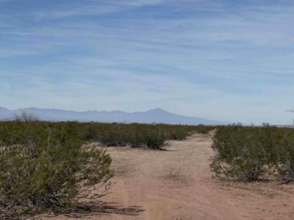 Ss1037a trail photo
