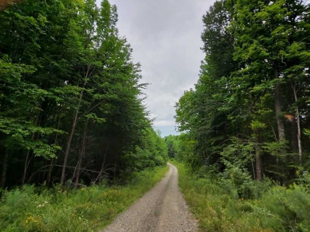 Cut Off Road photo 5