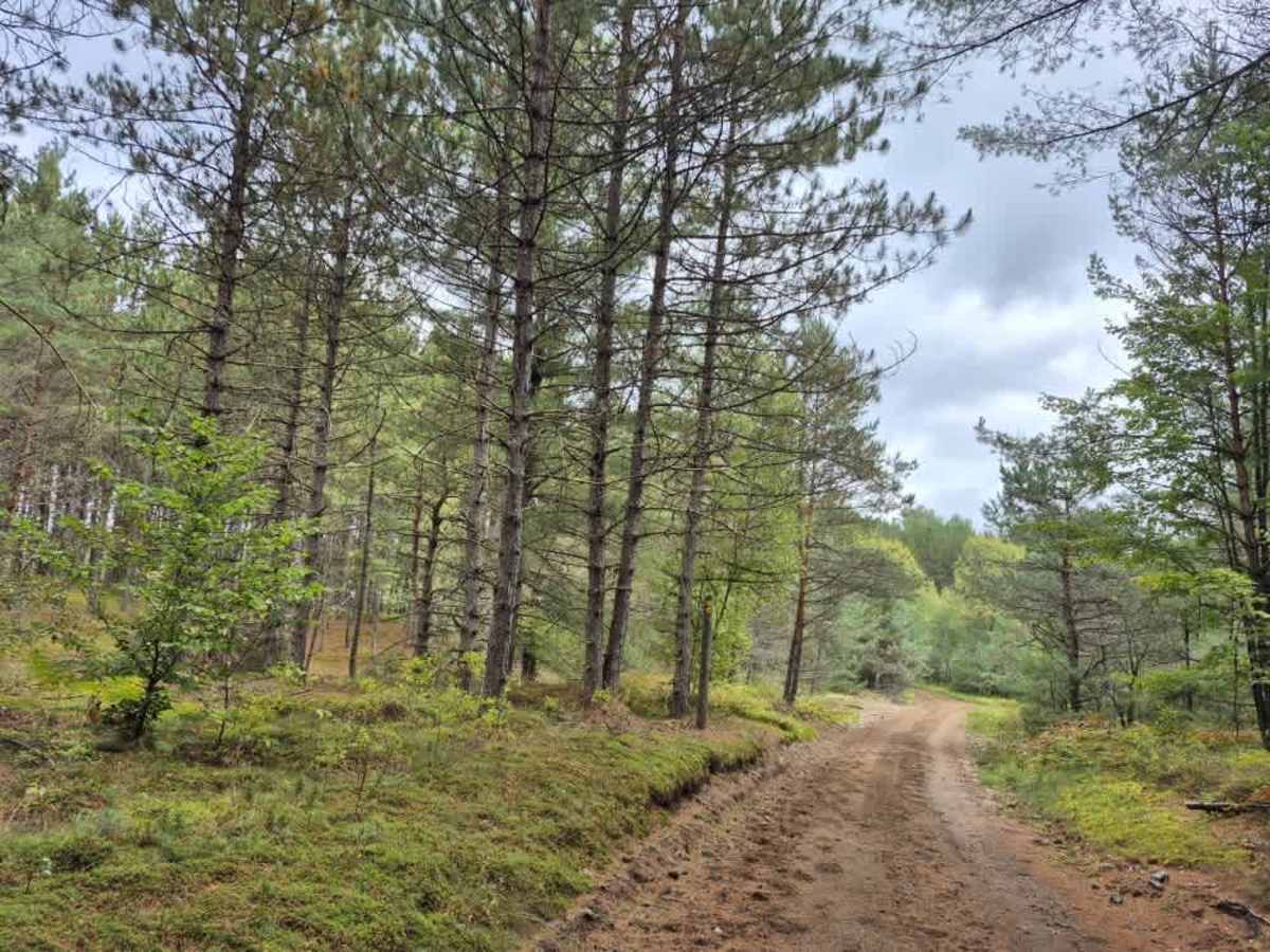 Florence Pond Road photo 2