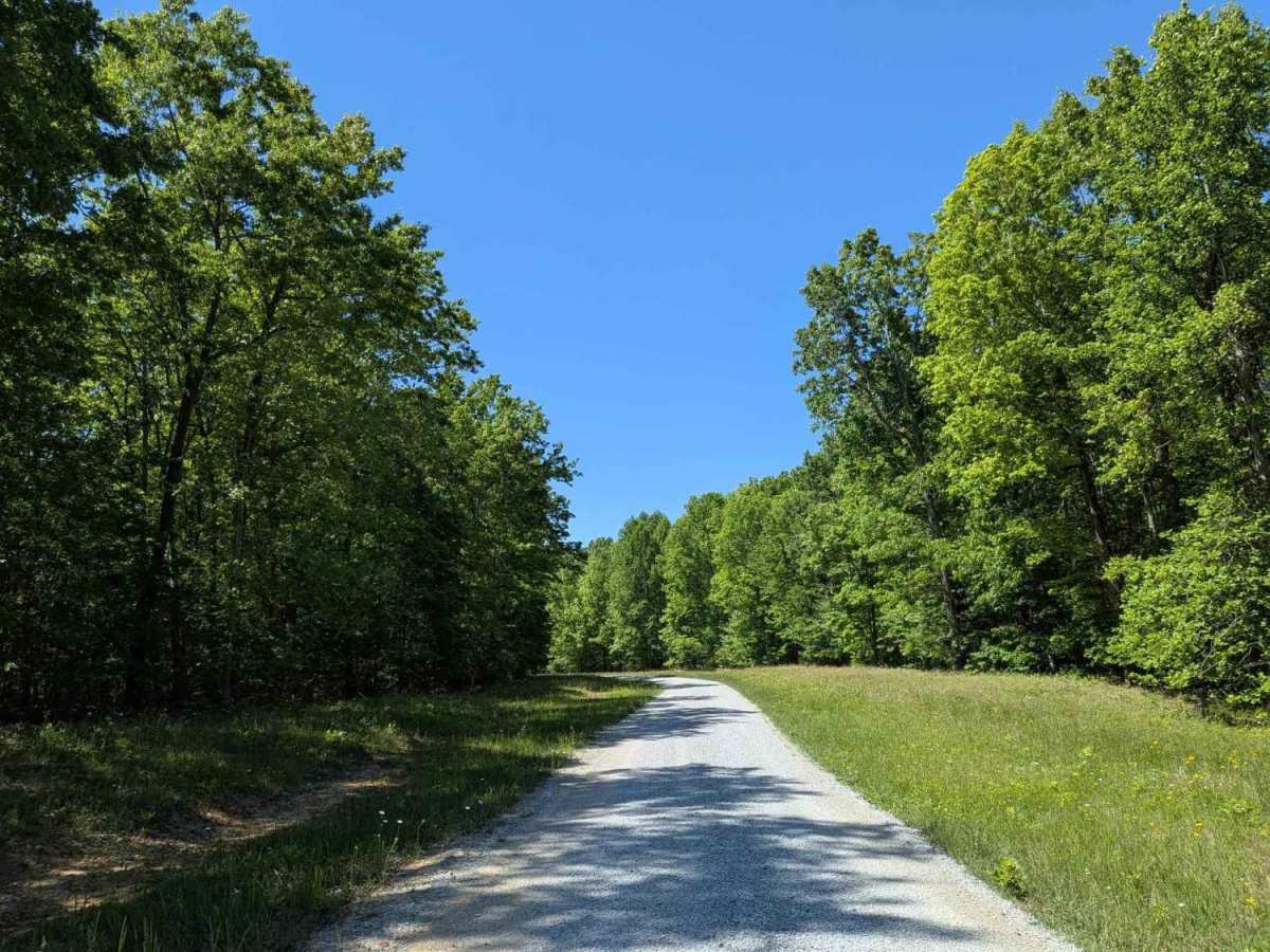 Poplar Springs Road photo 4