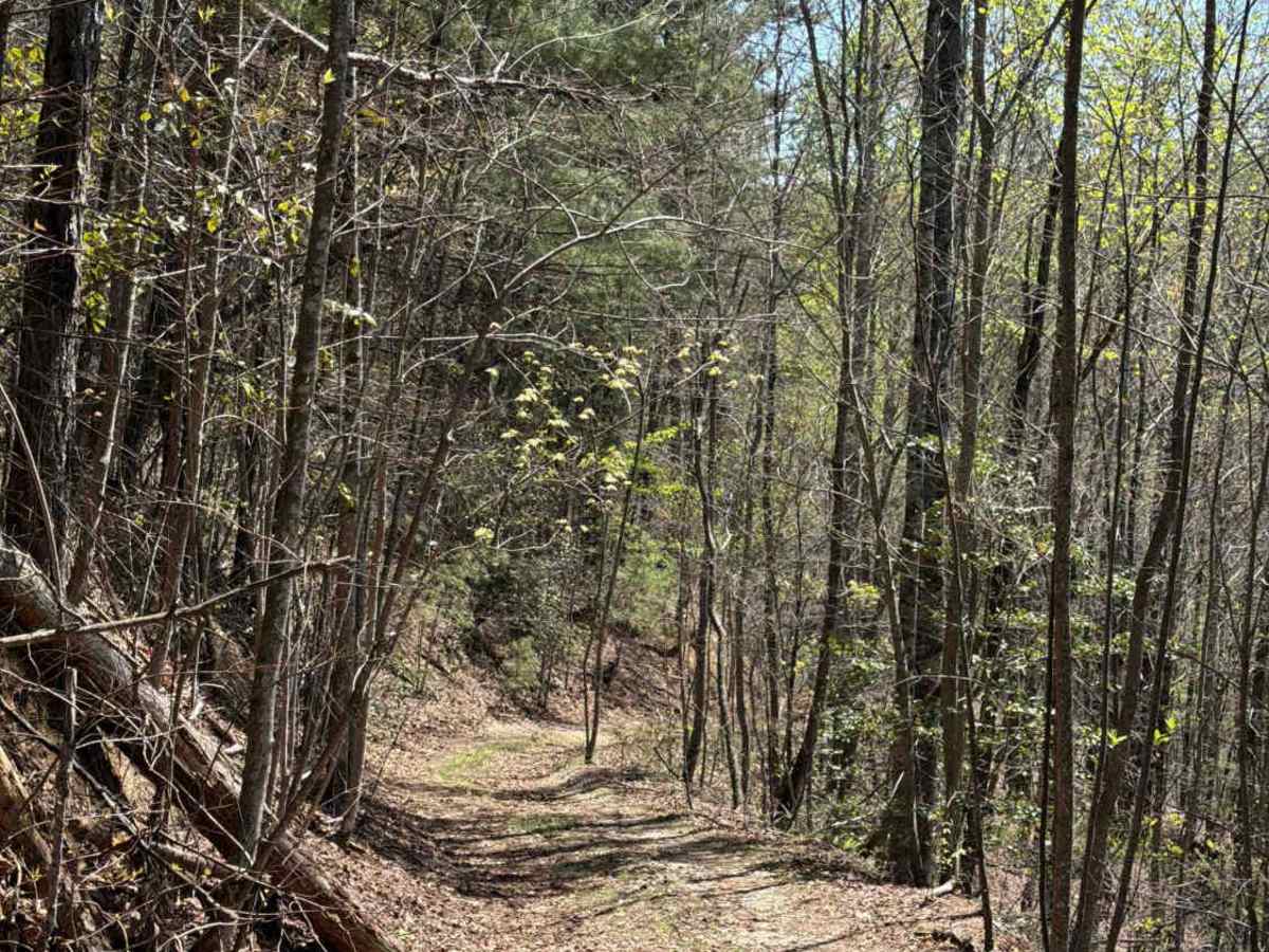 Stonewall Knob - FS 416 photo 2