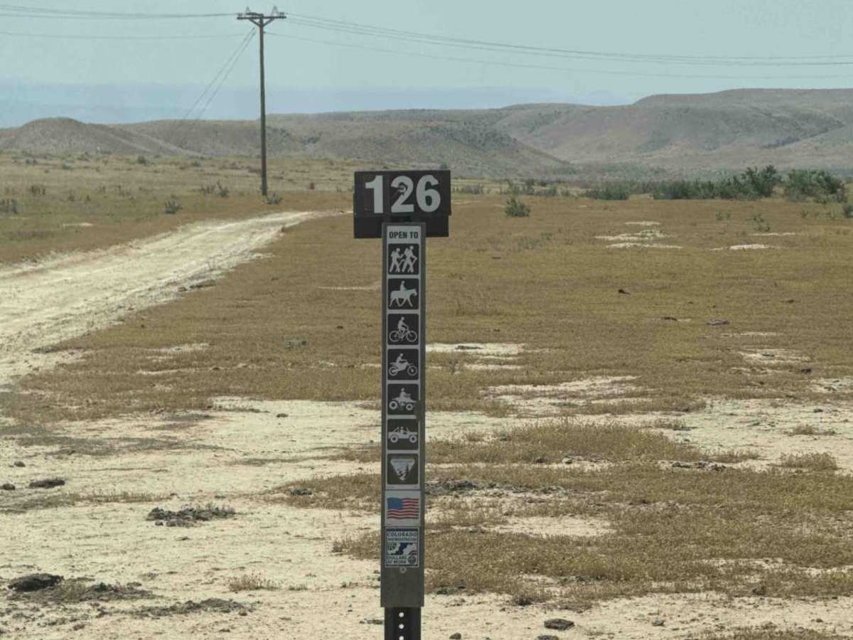 BLM 126 photo 3
