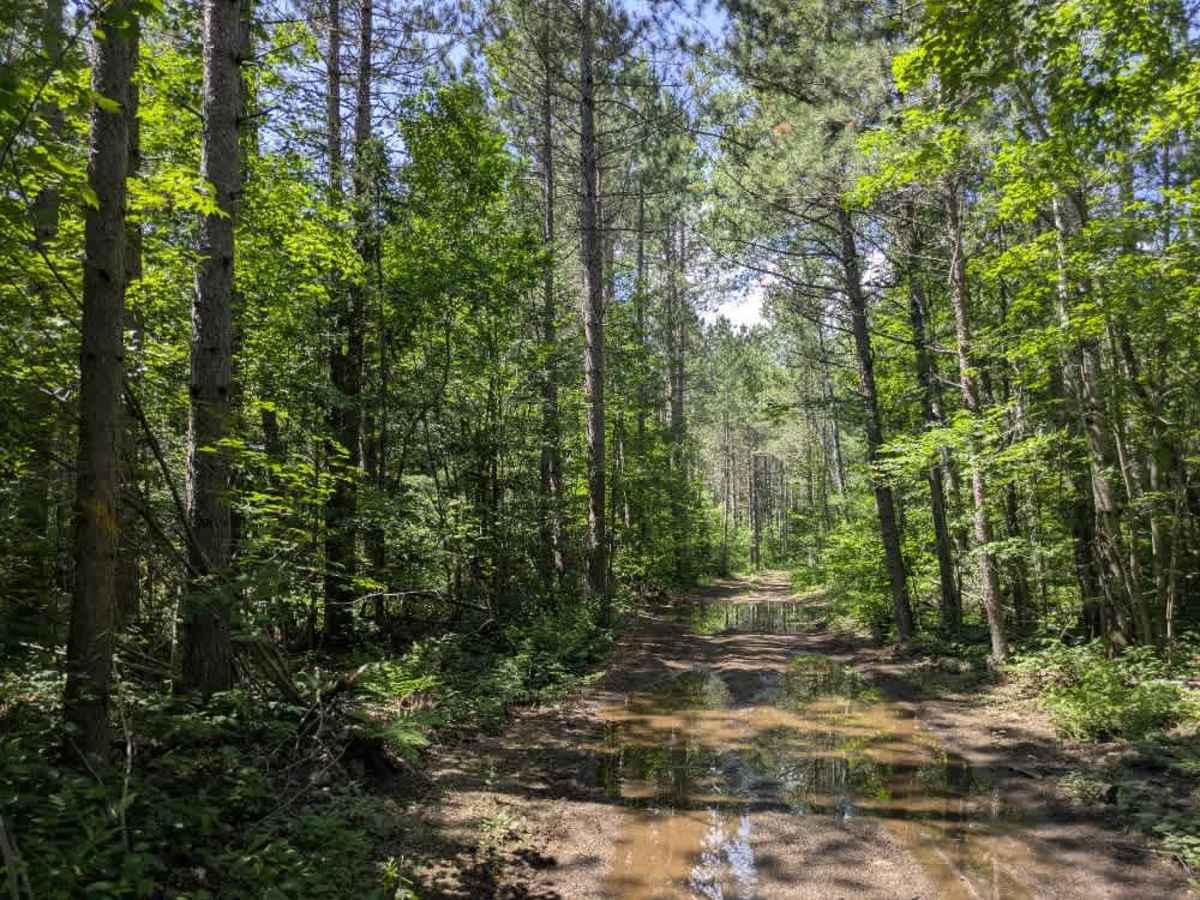 Bushel Lake photo 5