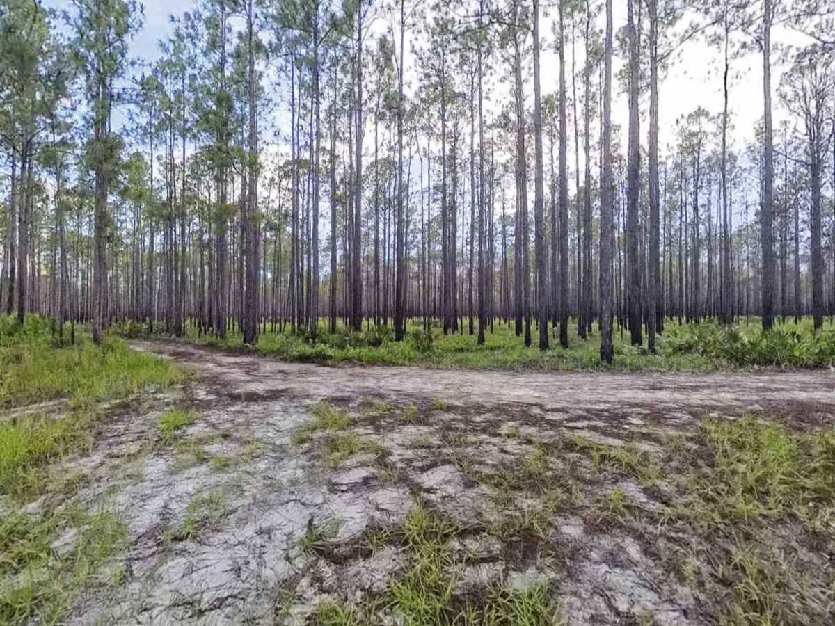 Nolan Ridge Road photo 2