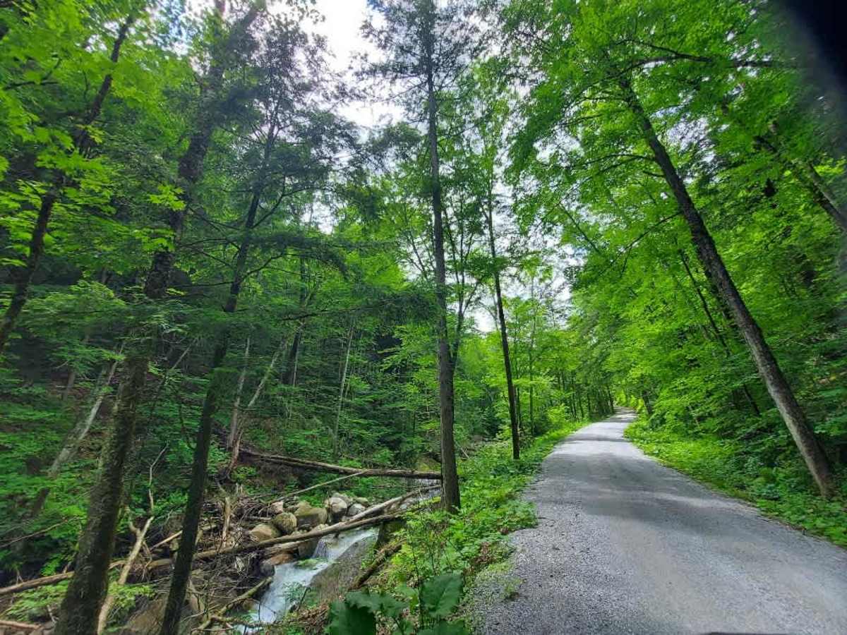 Rangers Road  trail photo