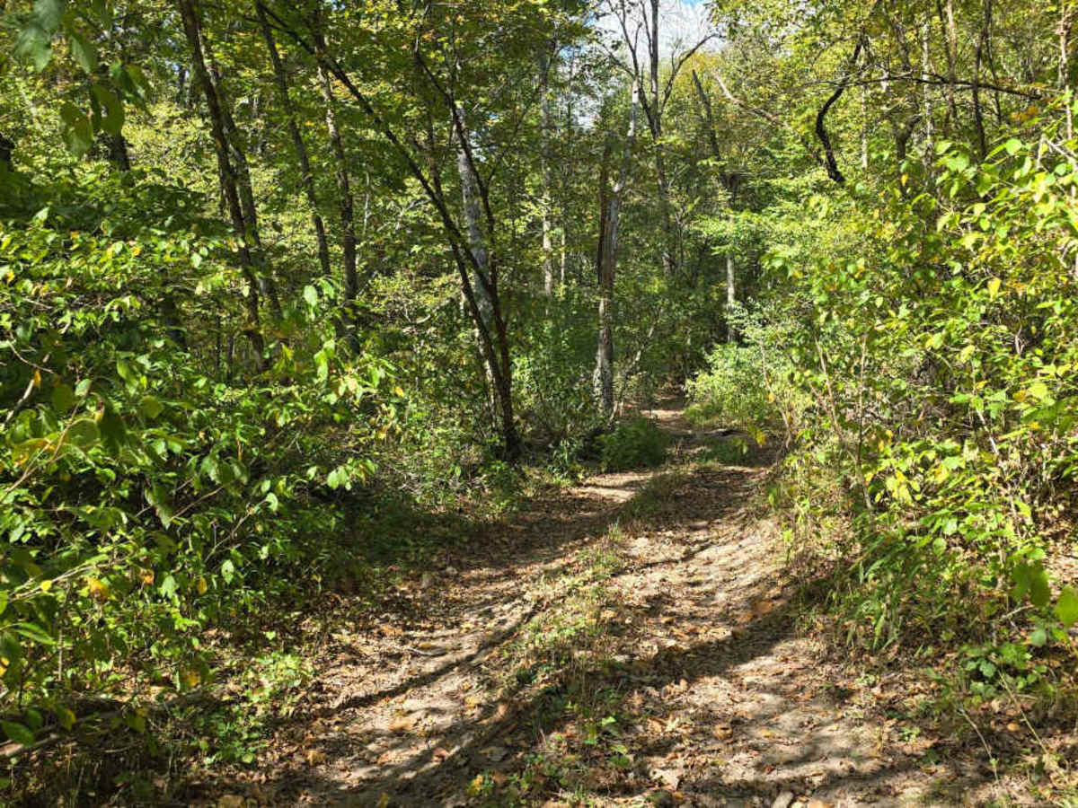 Trail Mix photo 4