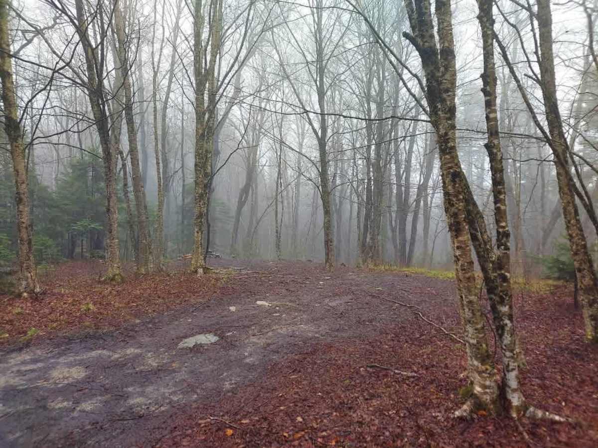 Prospect Mountain Trail photo 4