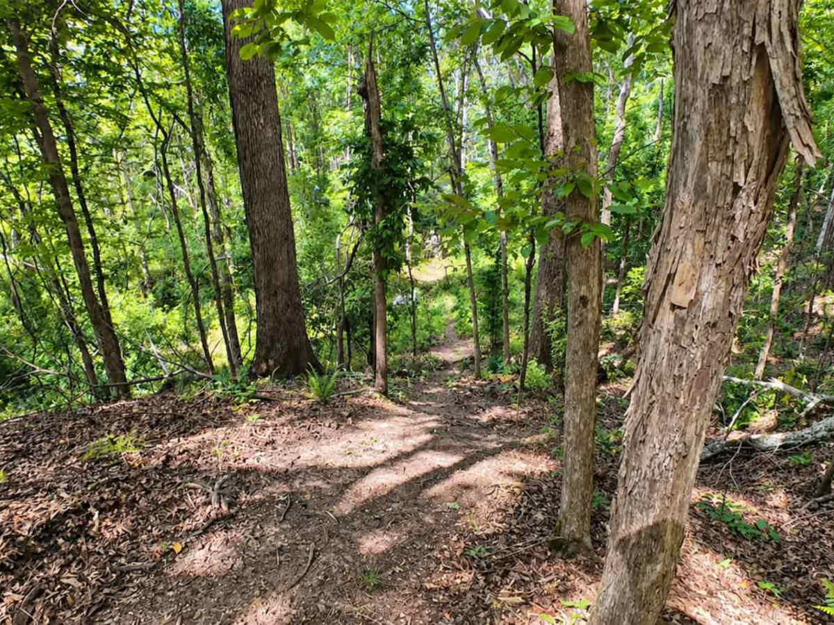 Splinter Hill Trail  photo 3