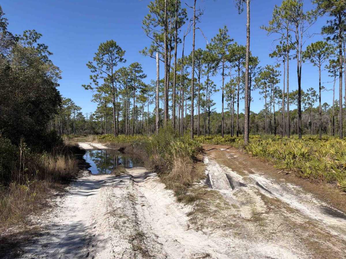 East Branch - FS 306 photo 5