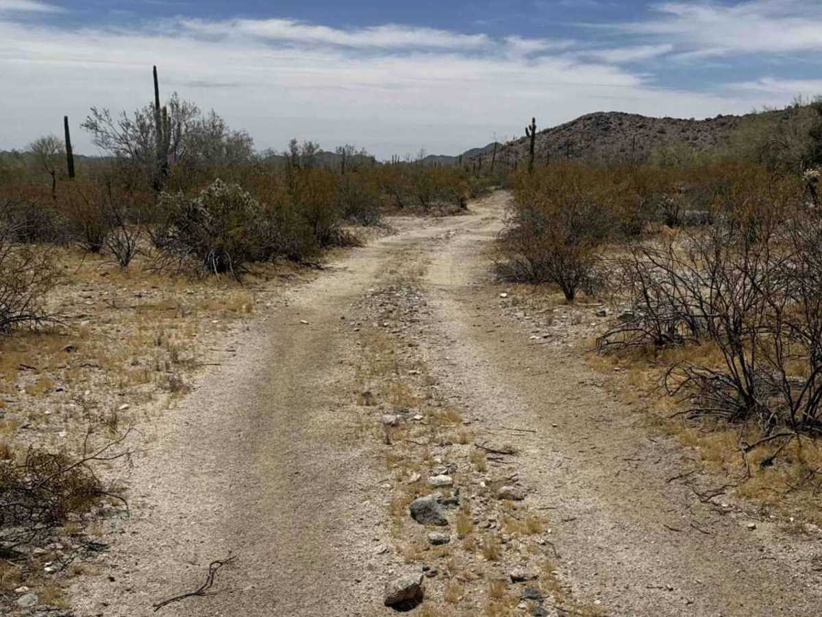 Creosote Run trail photo