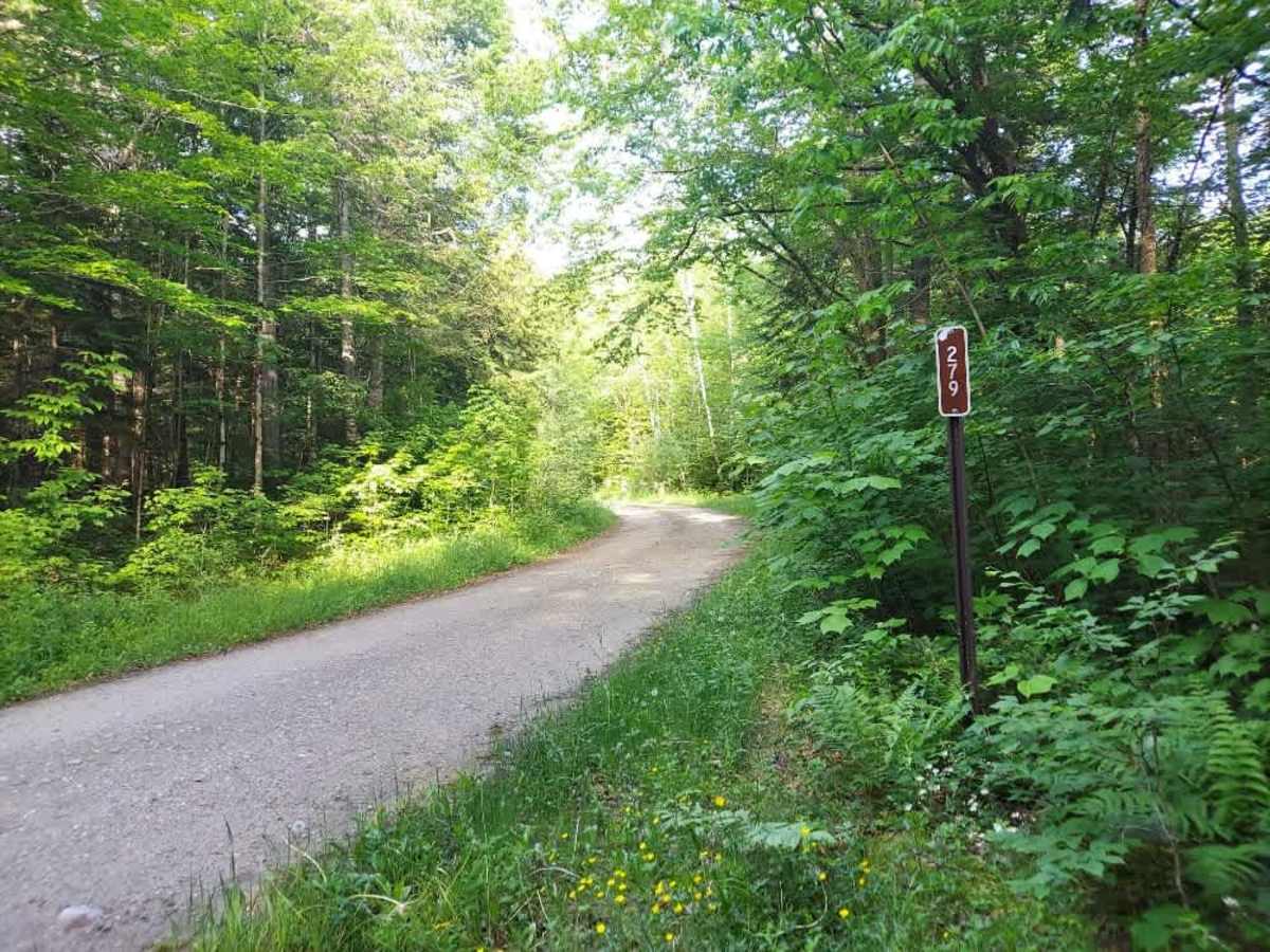 Tabor Brook Trail trail photo
