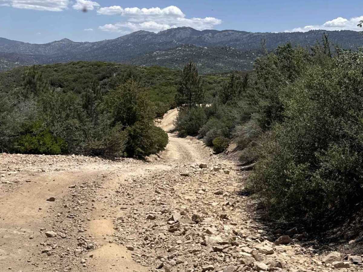 Rouse Ranch photo 4
