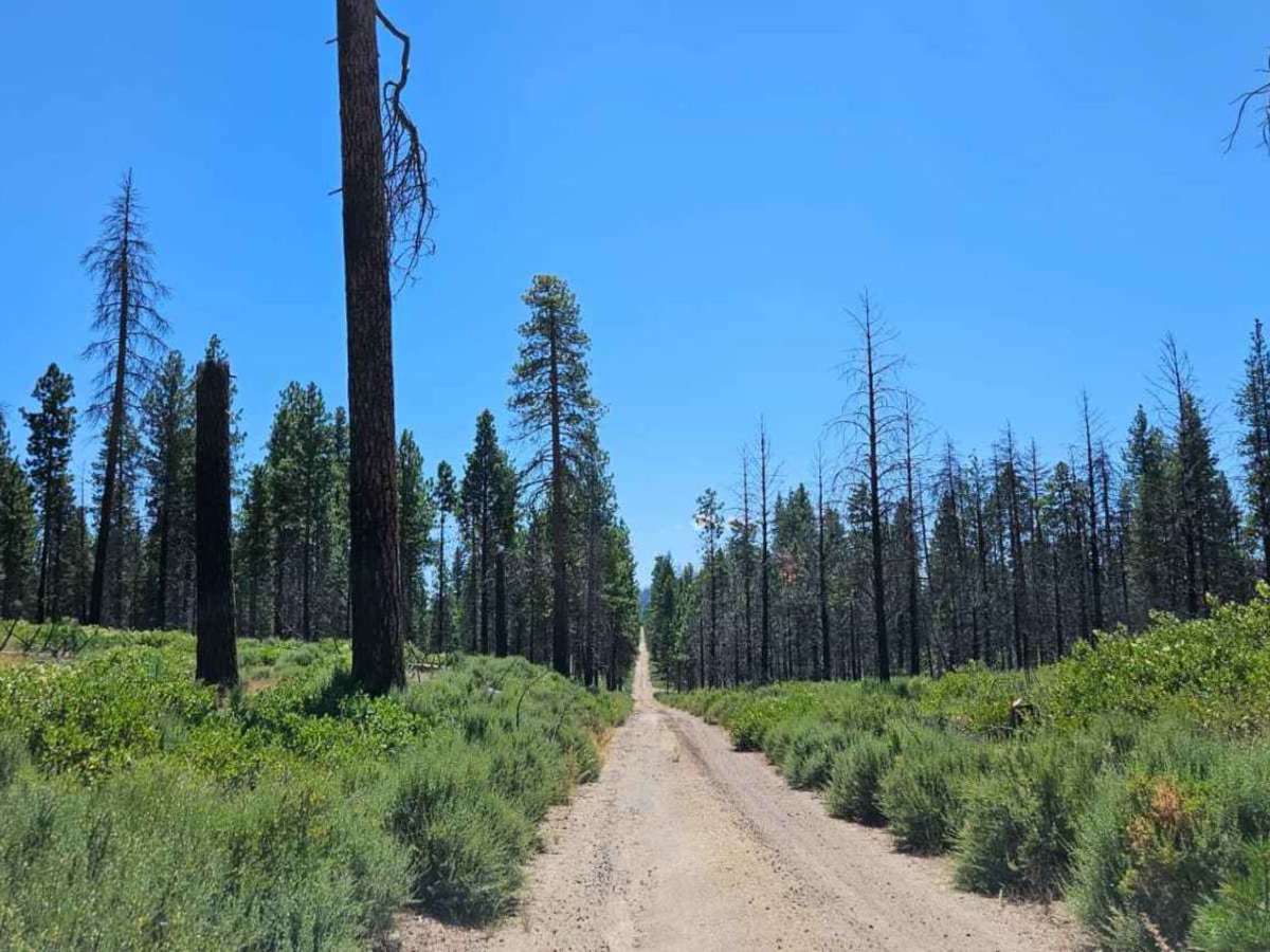 Agency Road - FS 6210000 trail photo