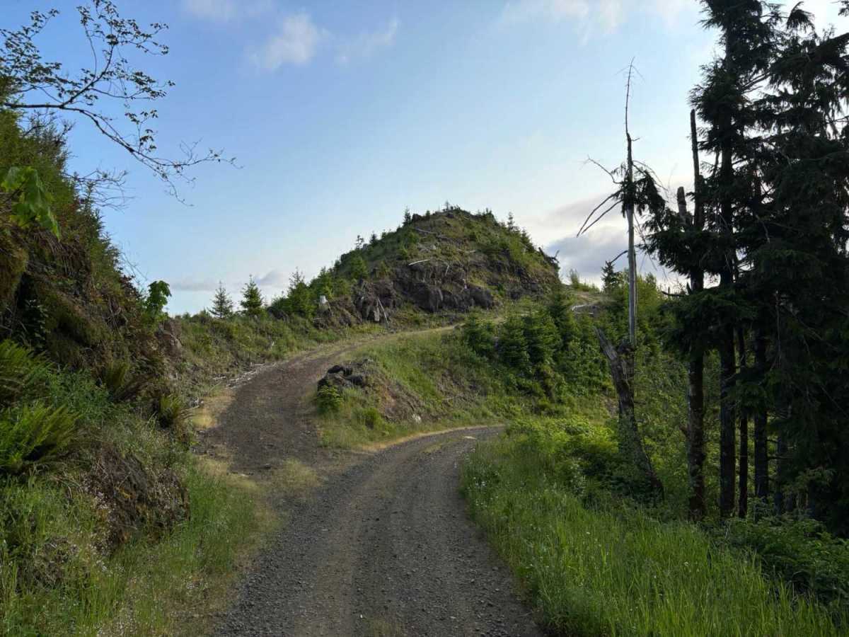 Firebreak 3 West photo 2