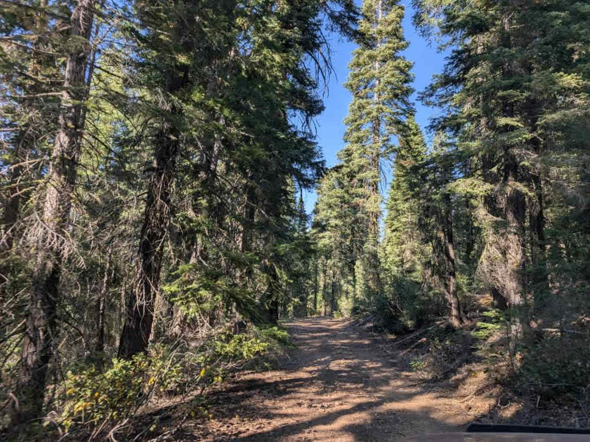 FS 24N55 trail photo