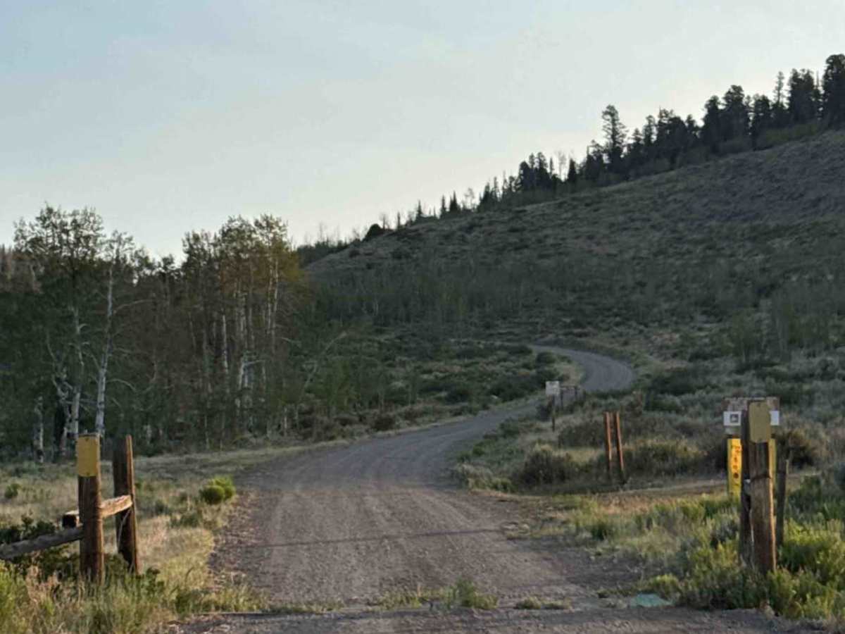 Green Ridge Road photo 3