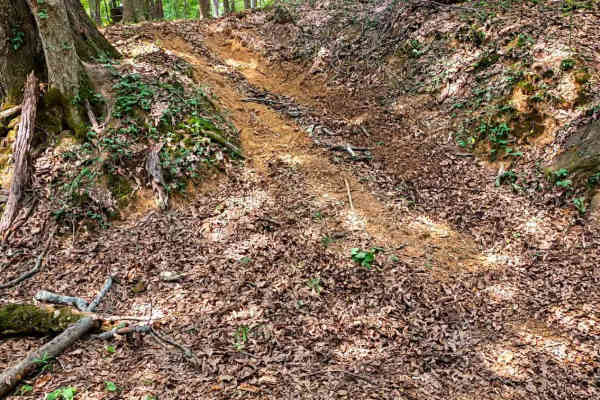 Old Ruins Trail