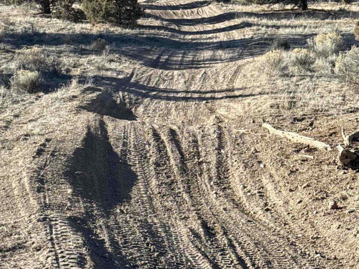 Millican Plateau OHV Trail 86 photo 5