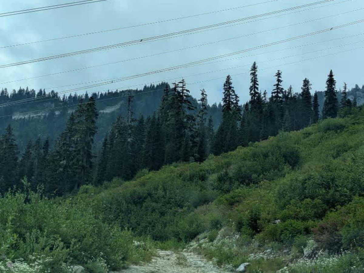 Upper Mill Creek Road photo 3