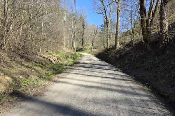 Mount Sterling Road