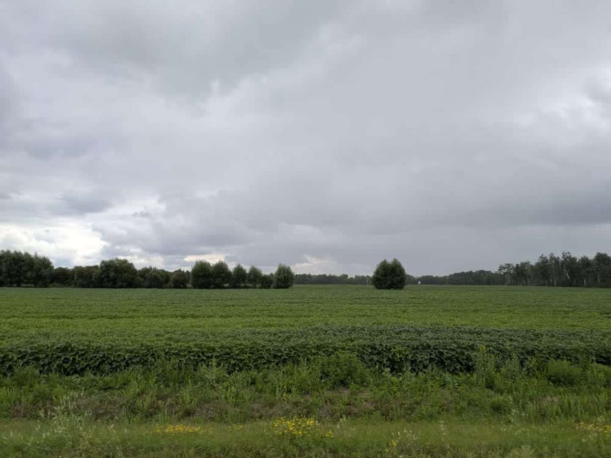 County Road 18 photo 6