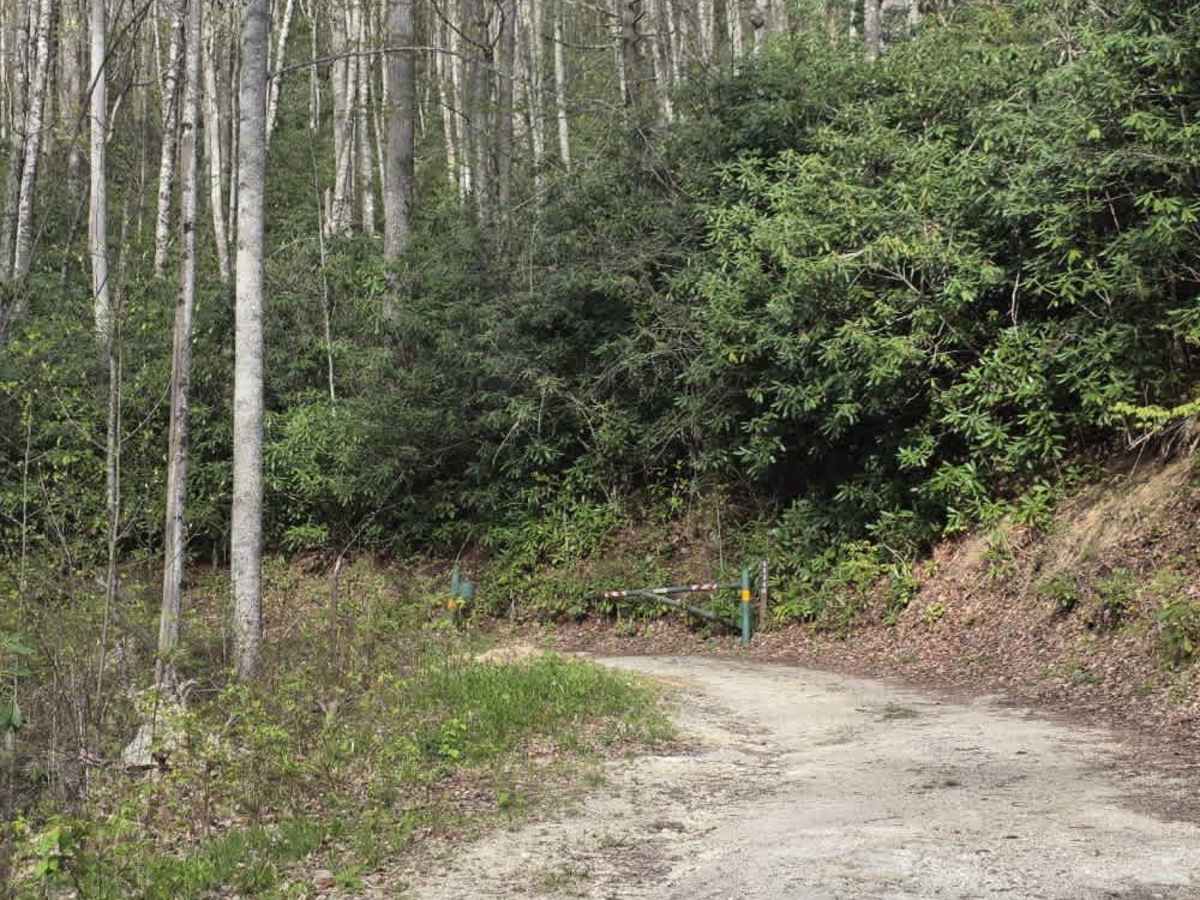 Little Pond Mountain trail photo
